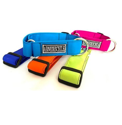 Collar Para Perro Profesional-1