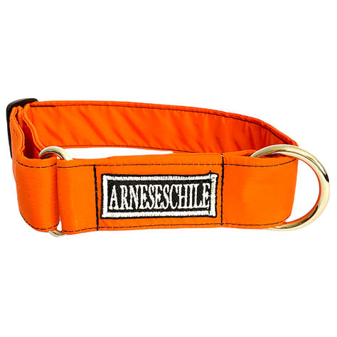 Collar Para Perro Profesional-0