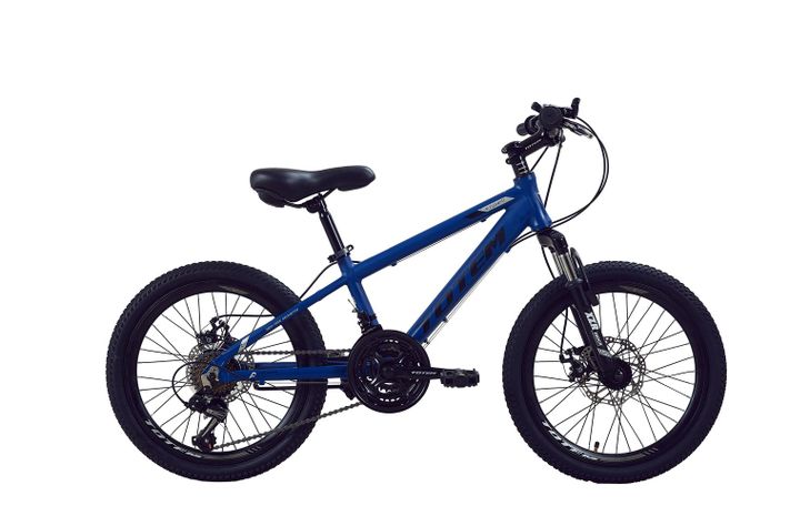 BICICLETA TOTEM MTB ARO 20 MODELO STORM PRUEBA-1