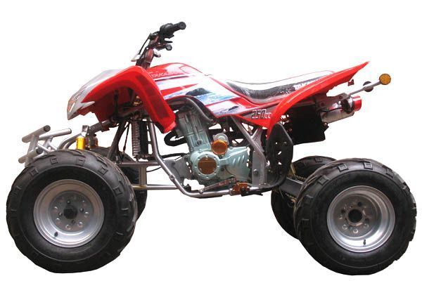 Cuatrimotos TAKASAKI CK-250 S-11-2