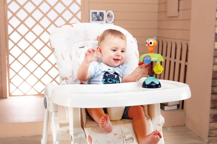 Juguete Universal Fun Owl-1