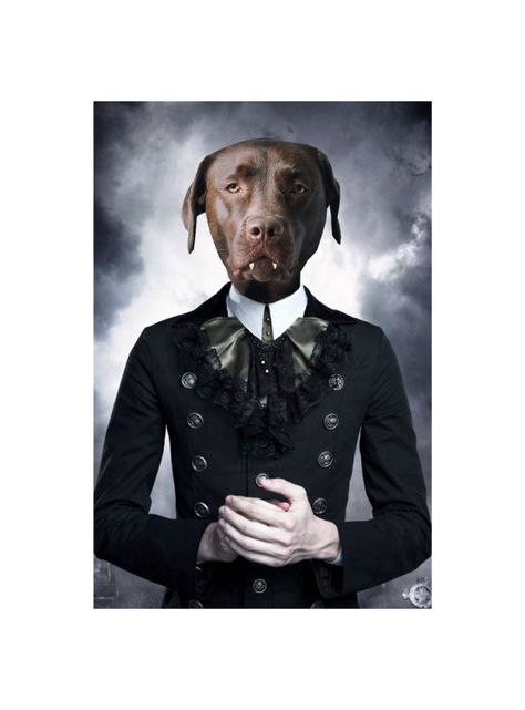 CUADRO DE TU MASCOTA PETPRINT VAMPIRO CANVAS - 40X60 CM -1