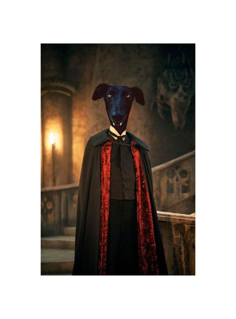 CUADRO DE TU MASCOTA PETPRINT DRÁCULA CANVAS - 30X50 CM -1