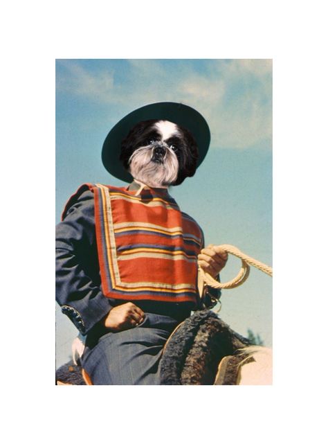 ILUSTRACION HUASO CANVAS - 20X30 CM PETPRINT-0