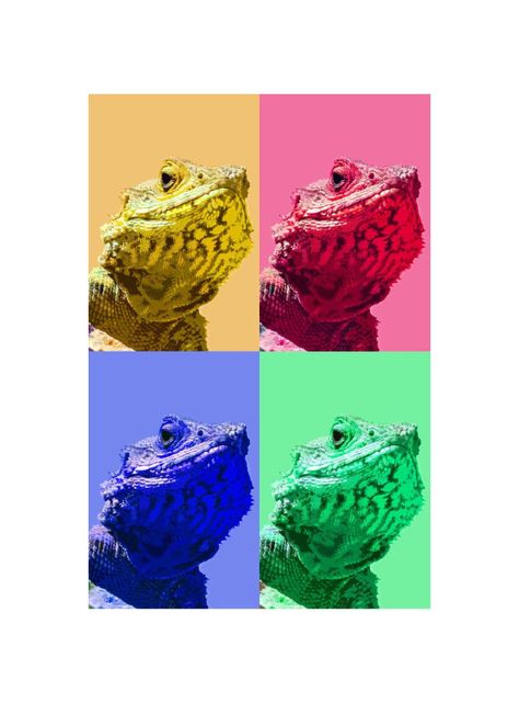 Cuadro personalizado de tu mascota: Petprint - Pop art Perros o Gatos-2