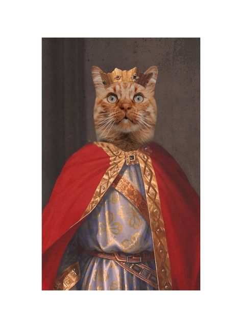 CUADRO DE TU MASCOTA PETPRINT REY DE ASTURIAS CANVAS - 40X60 CM -1