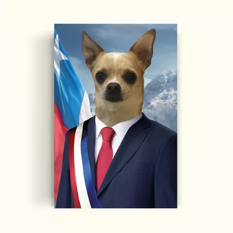 CUADRO DE TU MASCOTA PET PRINT EL PRESIDENTE CANVAS – 20X30 CM -0