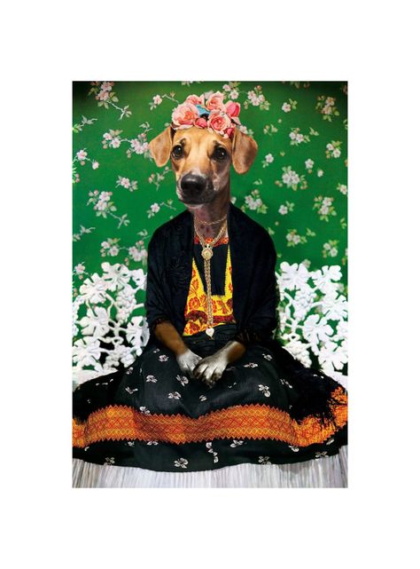ILUSTRACION FRIDA KHALO CANVAS - 20X30 CM PETPRINT-0
