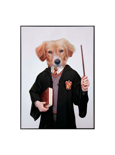 CUADRO DE TU MASCOTA PETPRINT RON WEASLEY CANVAS - 30X50 CM -0