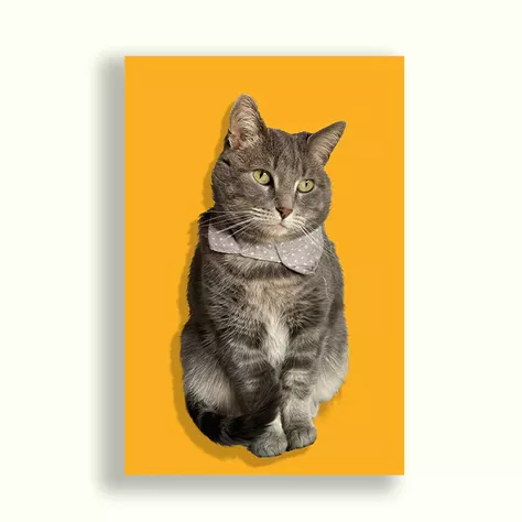 CUADRO DE TU MASCOTA PET PRINT IMPRESIÓN INDIVIDUAL CANVAS - 40X60 CM -0