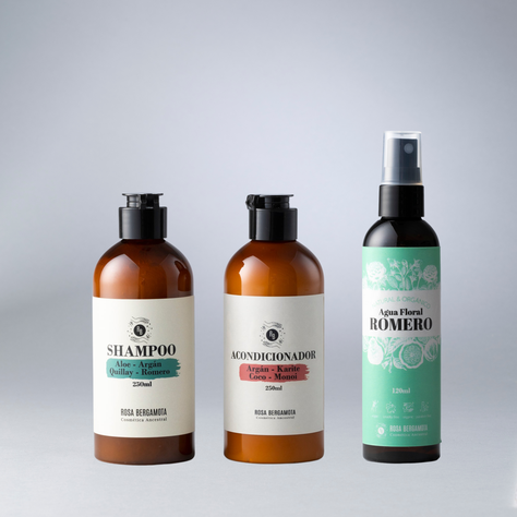 Pack Básicos Anticaída + Acondicionador
250ml + 120ml-1