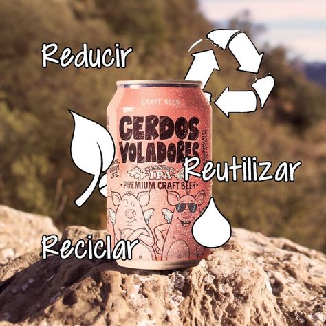 Pack 6 Cervezas Cerdos Voladores-2
