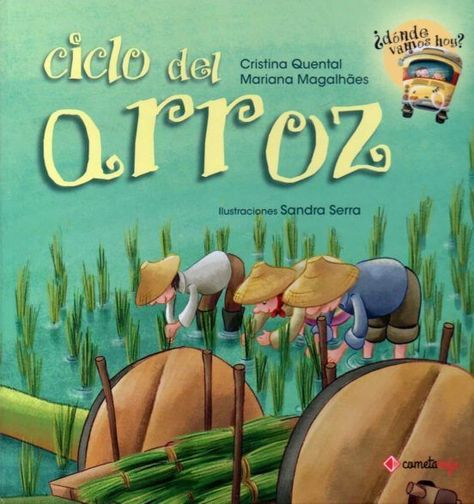 CICLO DEL ARROZ-0