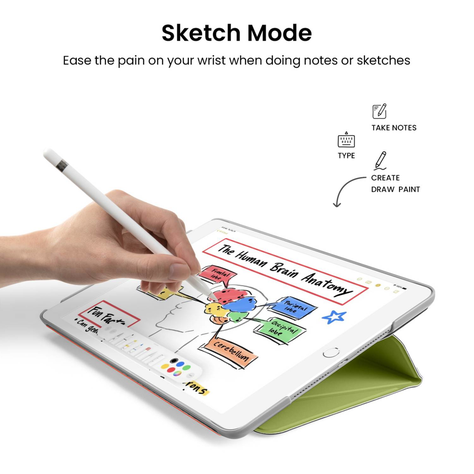 Tomtoc Funda vertical para iPad 10.2" - Avocado-4