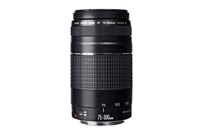 Canon EOS Rebel T100 Premium Kit-3