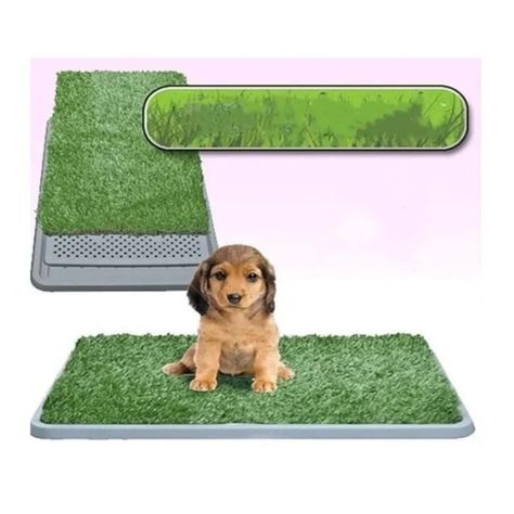 Baño Para Perros Gatos Ecologico Pet Potty Grande -2