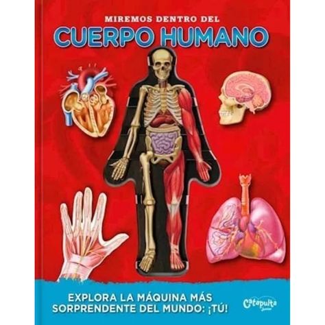 Miremos Dentro Del Cuerpo Humano-0