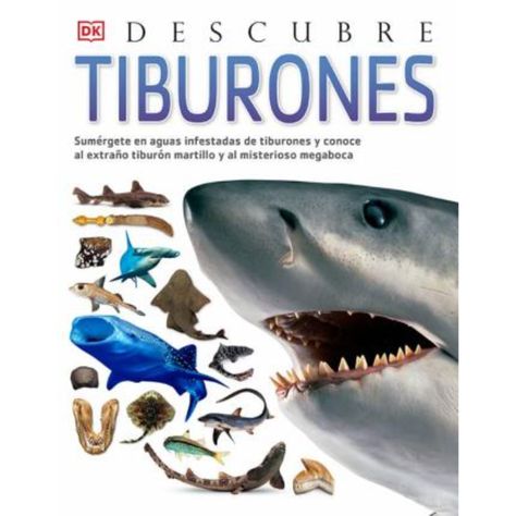 Descubre los tiburones-0