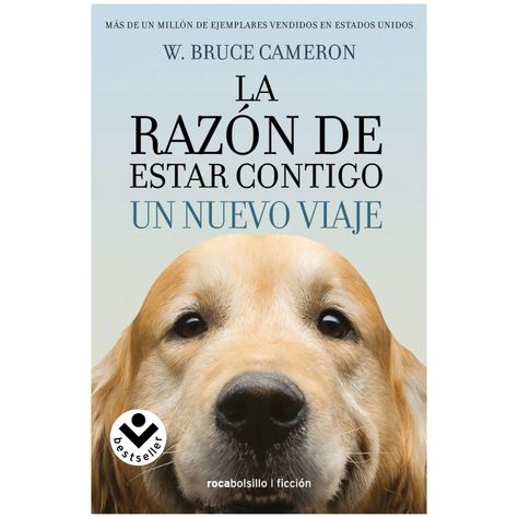 Razon De Estar Contigo 2. Un Nuevo Viaje-0