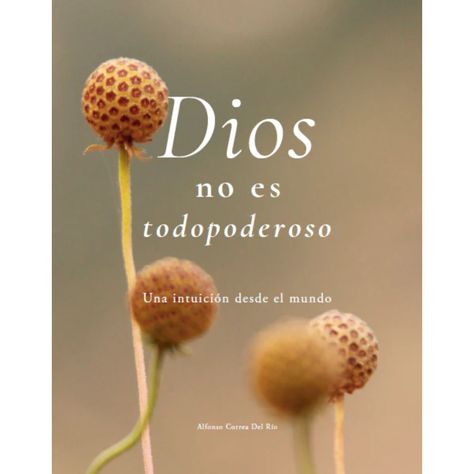 Dios No Es Todopoderoso: Una Intuición Desde El Mundo-0