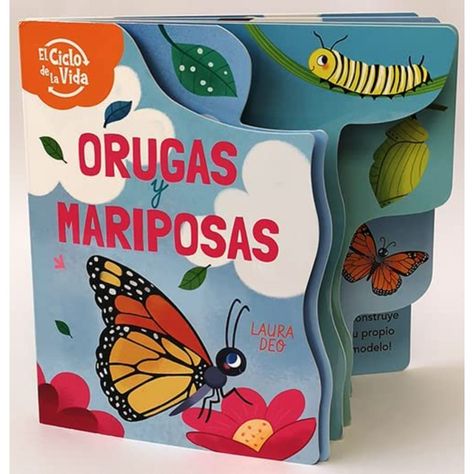 Orugas y Mariposas, el ciclo de la vida-0