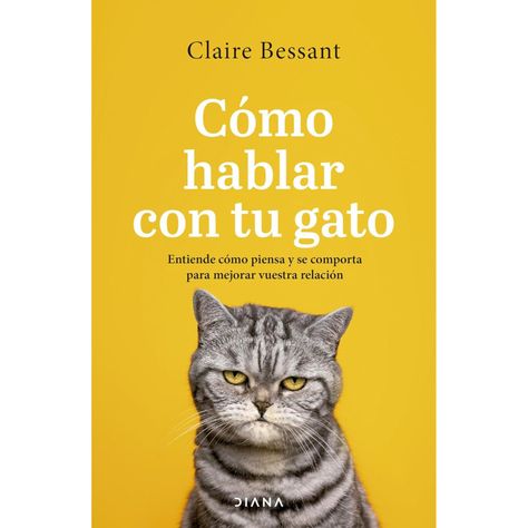 Cómo Hablar Con Tu Gato-0