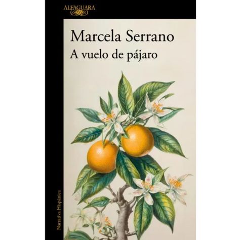 A Vuelo De Pájaro-0