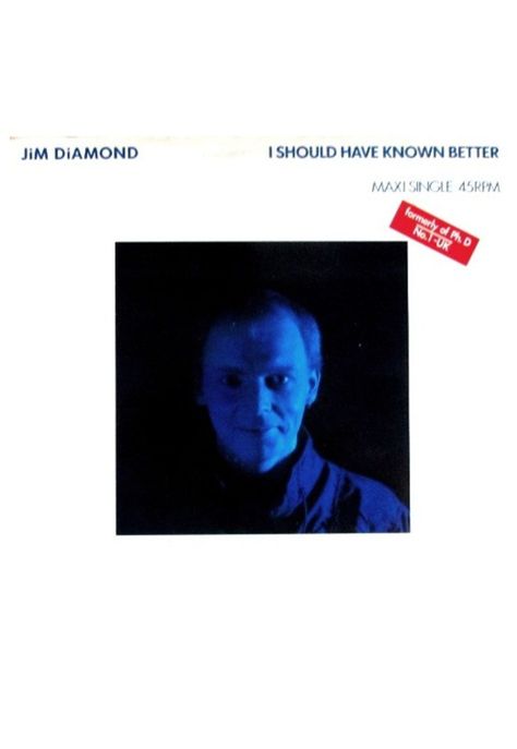 JIM DIAMOND - I SHOULD HAVE KNOWN BETTER | 12" MAXI SINGLE USADO-0