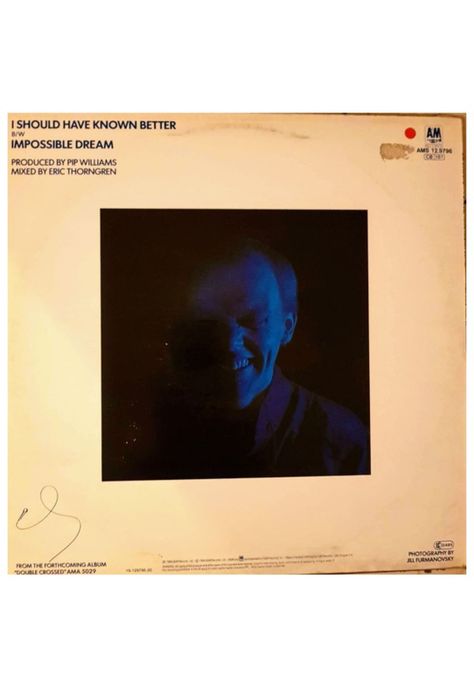 JIM DIAMOND - I SHOULD HAVE KNOWN BETTER | 12" MAXI SINGLE USADO-1