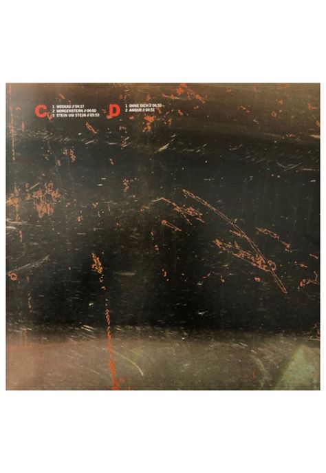 RAMMSTEIN - REISE, REISE (2LP) | VINILO-9