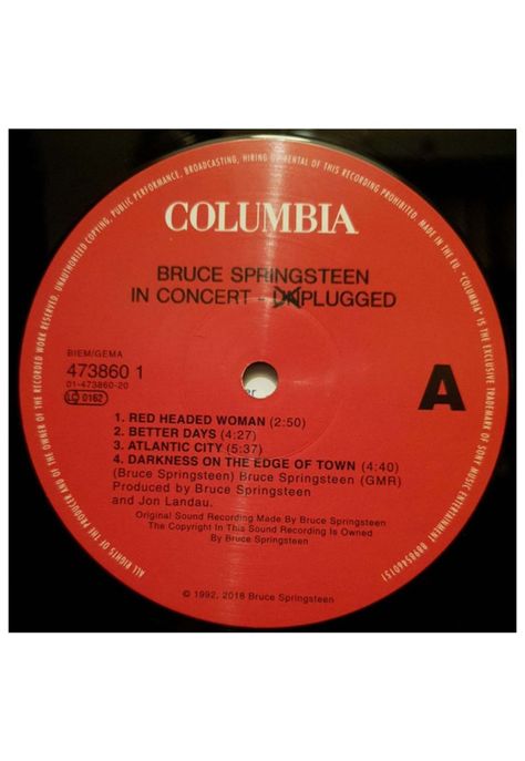 BRUCE SPRINGSTEEN - MTV UNPLUGGED (2LP) | VINILO-6