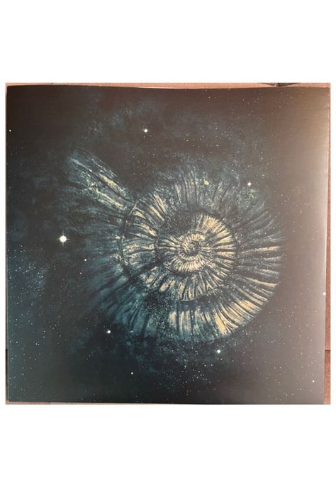NIGHTWISH - ENDLESS FORMS MOST BEAUTIFUL (2LP) (CLEAR GOLD & BLACK VINYL) | VINILO-3