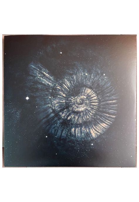 NIGHTWISH - ENDLESS FORMS MOST BEAUTIFUL (2LP) (CLEAR GOLD & BLACK VINYL) | VINILO-5