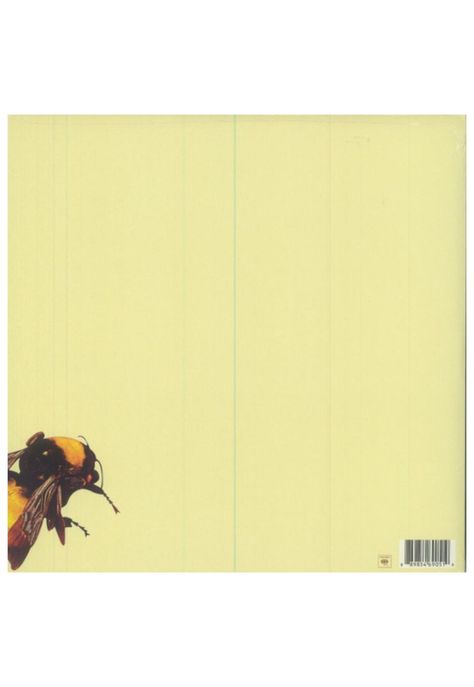 TYLER, THE CREATOR - FLOWER BOY (2LP) | VINILO-1