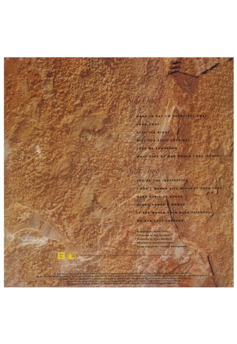 CHICAGO - GREATEST HITS 1982-1989 | VINILO-1