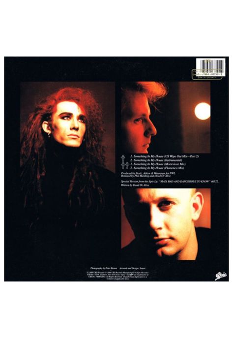 DEAD OR ALIVE - SOMETHING IN MY HOUSE | 12" MAXI SINGLE VINILO-1