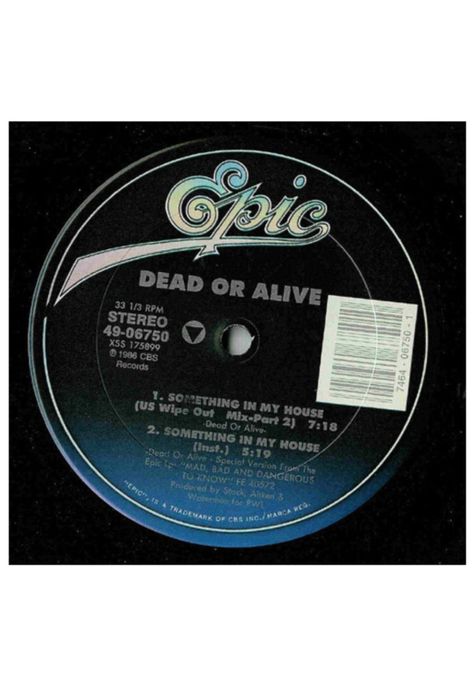 DEAD OR ALIVE - SOMETHING IN MY HOUSE | 12" MAXI SINGLE VINILO-2