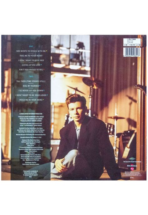 RICK ASTLEY  - HOLD ME IN YOUR ARMS | VINILO USADO-1