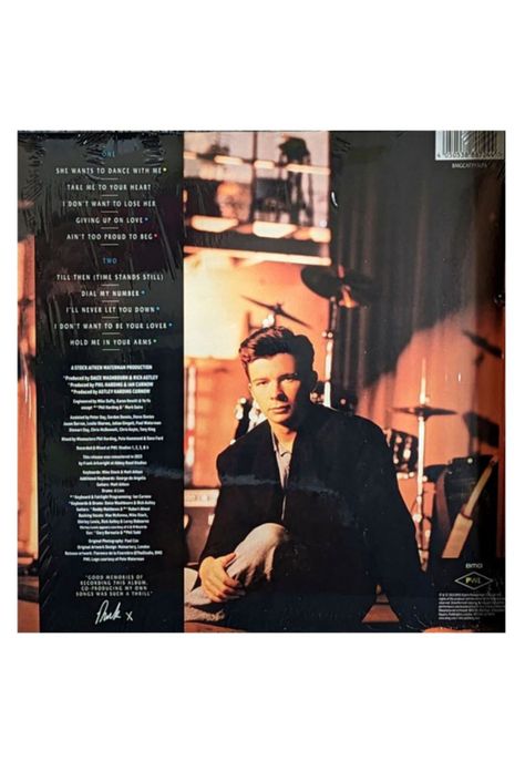RICK ASTLEY - HOLD ME IN YOUR ARMS (UK) | VINILO-1