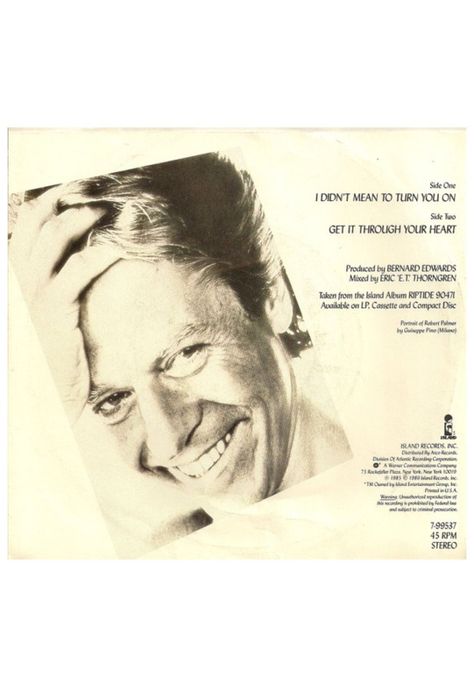 ROBERT PALMER - I DIDN'T MEAN TO TURN YOU ON | 7" SINGLE VINILO USADO-1