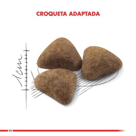Royal Canin Indoor Feline 400G-3
