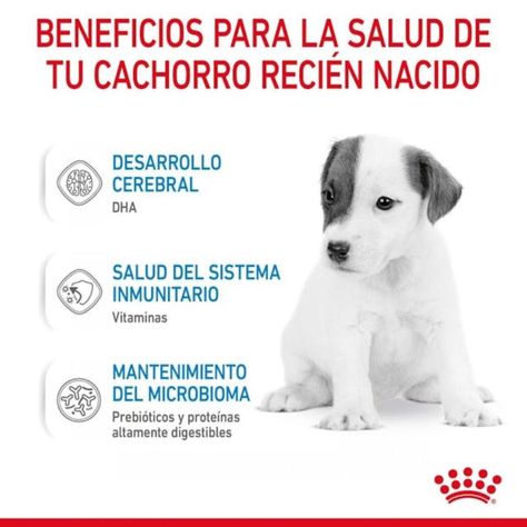 Royal Canin Babydog Milk - Leche para Cachorros 400G-1