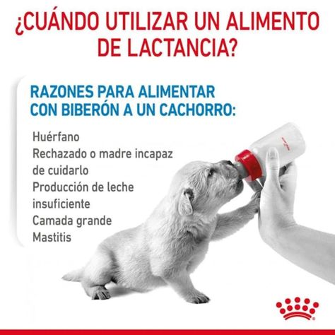 Royal Canin Babydog Milk - Leche para Cachorros 400G-2