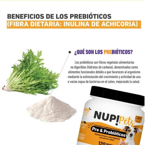 Pre Y Probióticos para Mascotas NUP! PETS Sabor Pollo-3