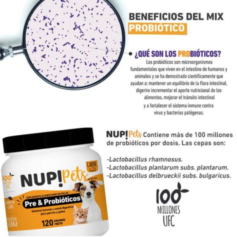 Pre Y Probióticos para Mascotas NUP! PETS Sabor Pollo-4