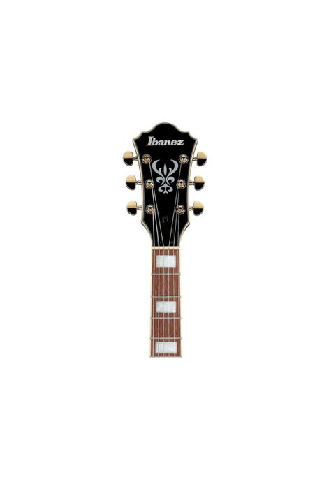 Guitarra eléctrica Ibanez Semi-Hollow AS73G-2