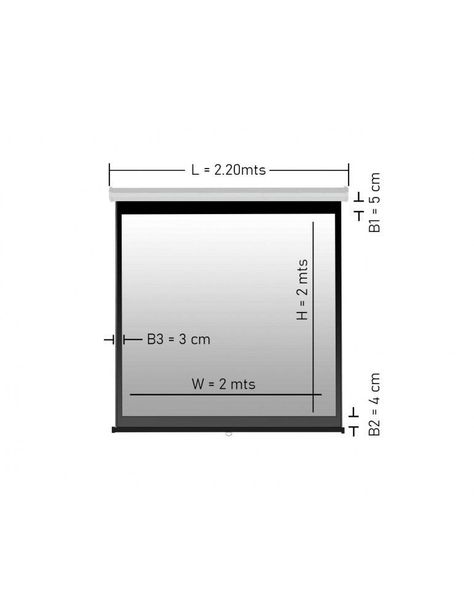 Telon Mural 2.00x2.00 Copa America para Viewsonic PX706HD-2
