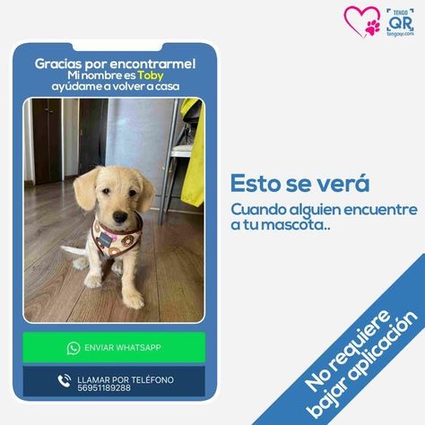 Placa Bandita QR Mascotas-4