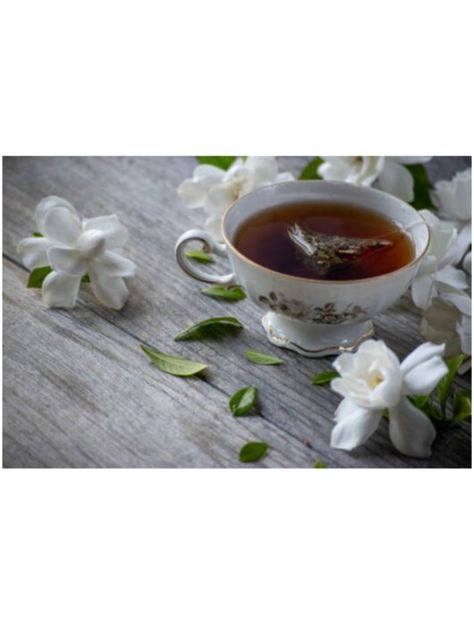 Té Verde Ríos y Humedales SENSORIAL-1