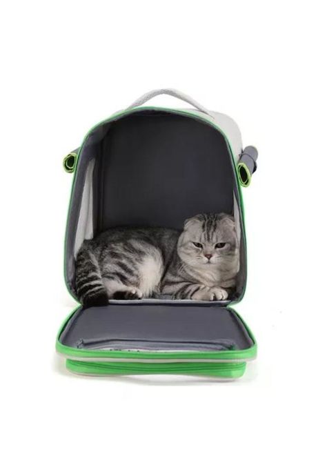Mochila bolso plegable para mascotas perro y gato verde-1